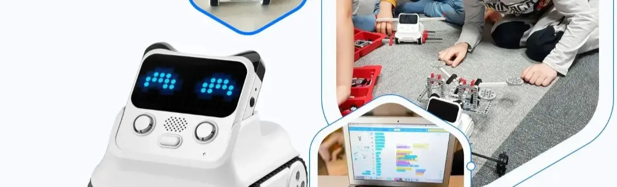 Robot Codey Rocky